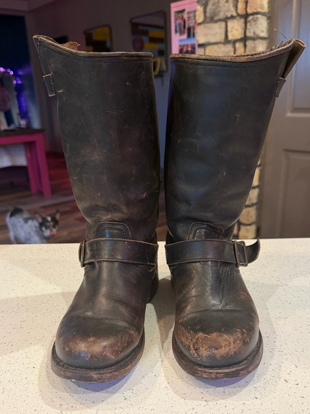 Freebird distressed brown Leather Women's Moto Boots with Buckle Strap